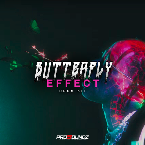 Butterfly Effect Drum Kit